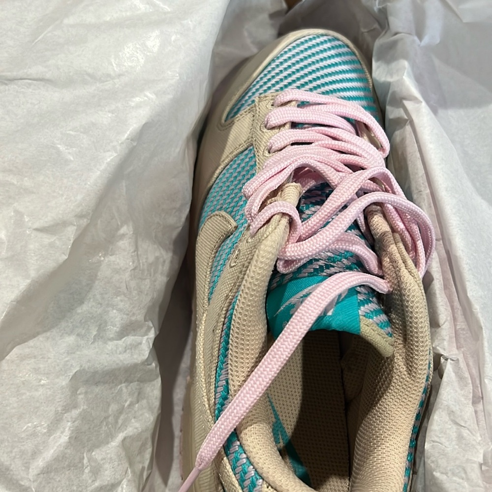 Women Nike Dunks low - never worn